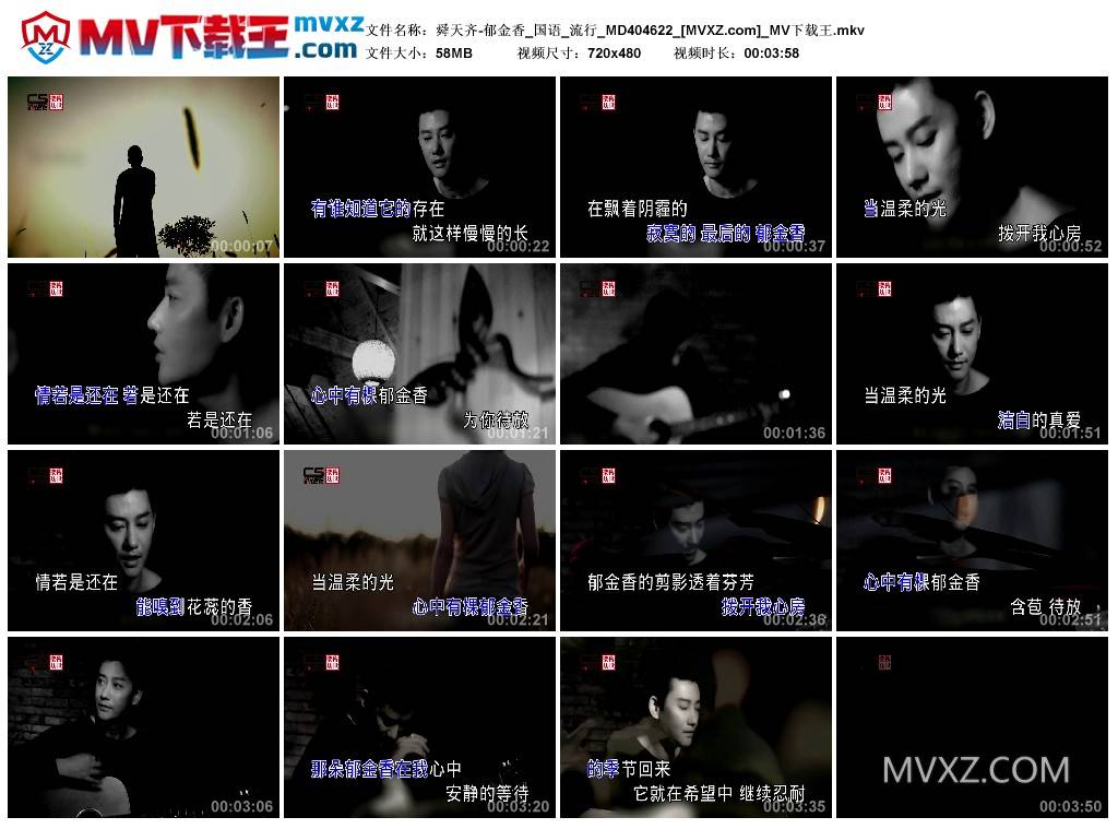舜天齐-郁金香_国语_流行_MD404622